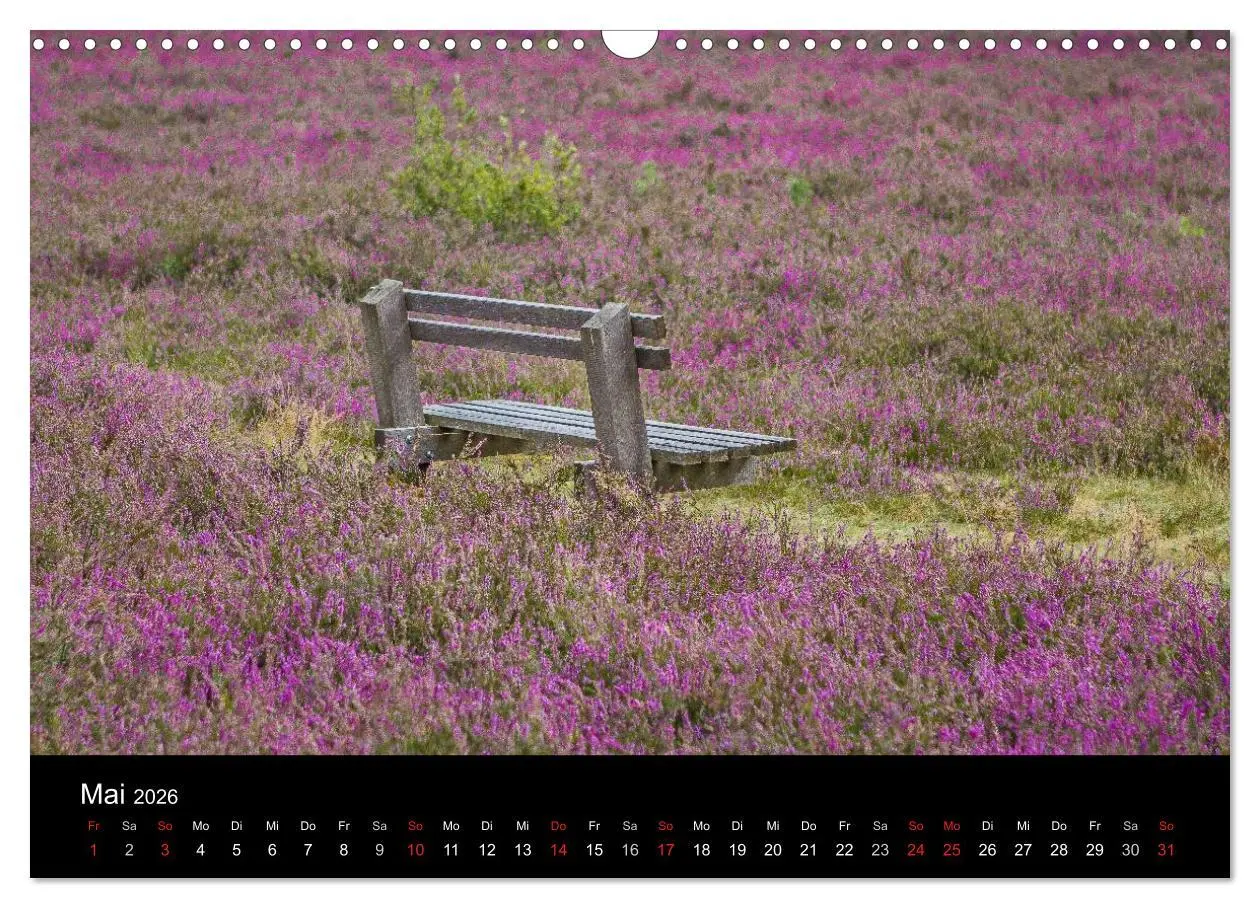 Bild: 9783516173635 | Lüneburger Heide (Wandkalender 2026 DIN A3 quer), CALVENDO...