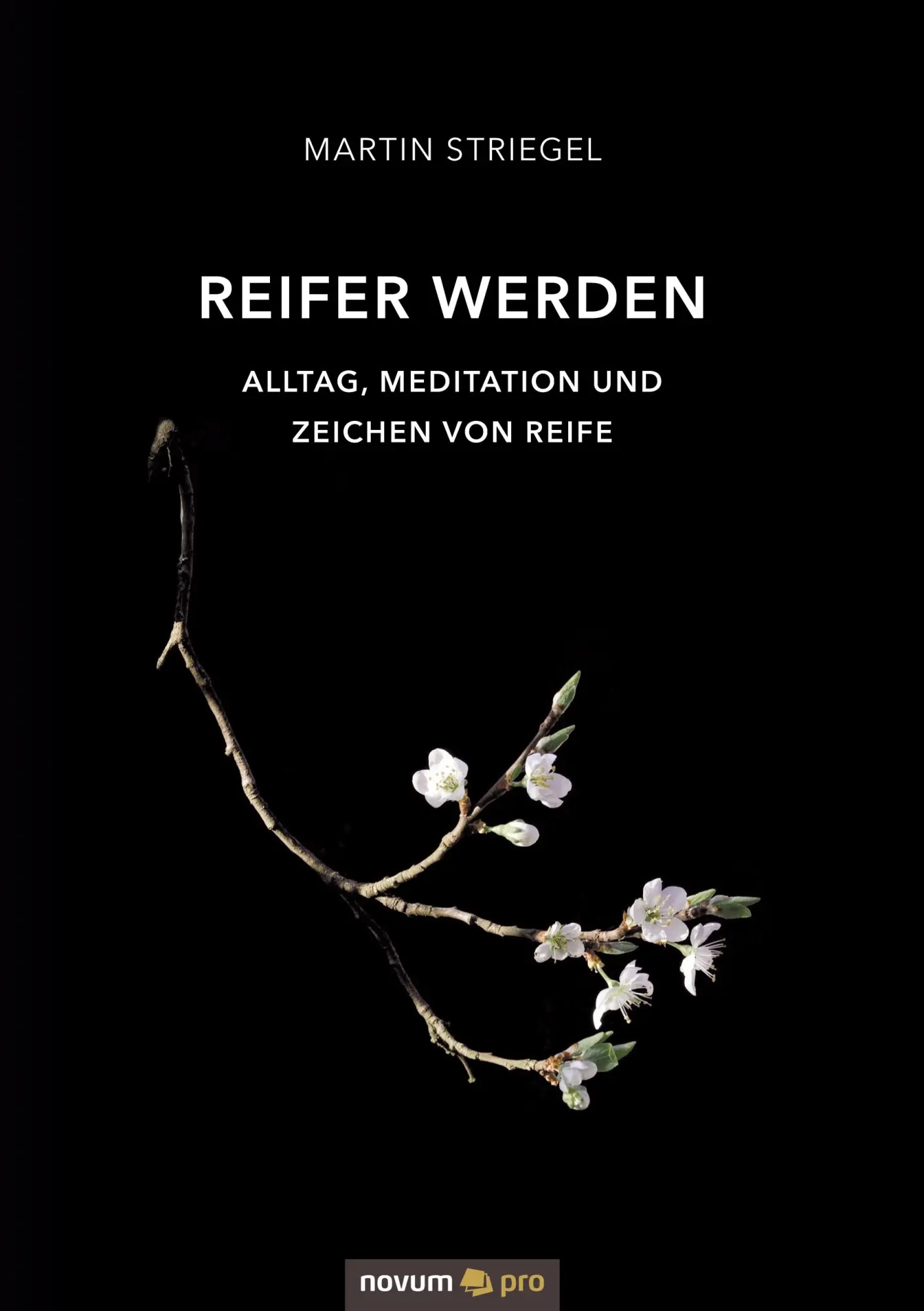 Cover: 9783991073635 | Reifer werden | Alltag, Meditation und Zeichen von Reife | Striegel