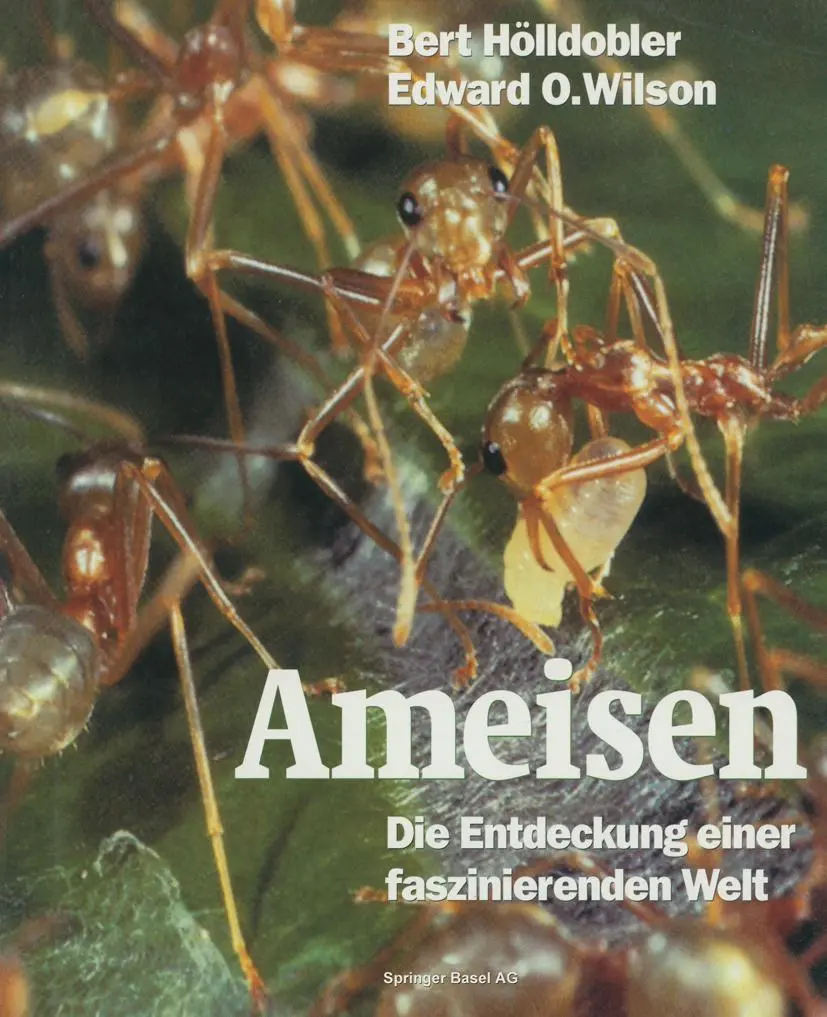 Cover: 9783034863735 | Ameisen | Die Entdeckung einer faszinierenden Welt | Taschenbuch | XI