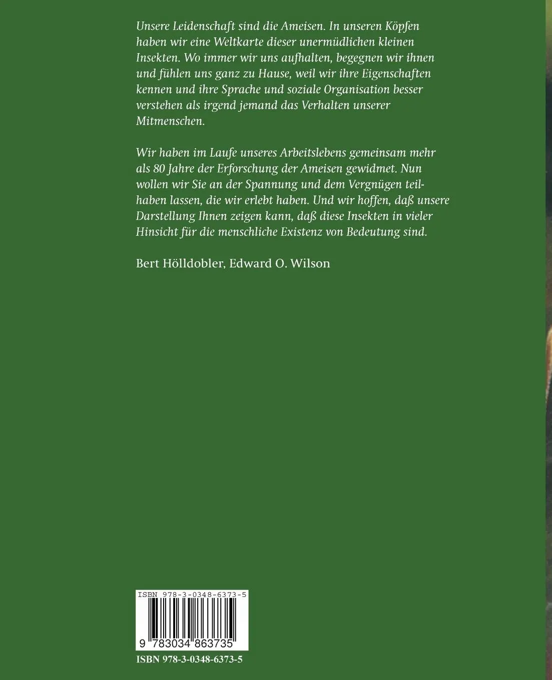 Rückseite: 9783034863735 | Ameisen | Die Entdeckung einer faszinierenden Welt | Taschenbuch | XI