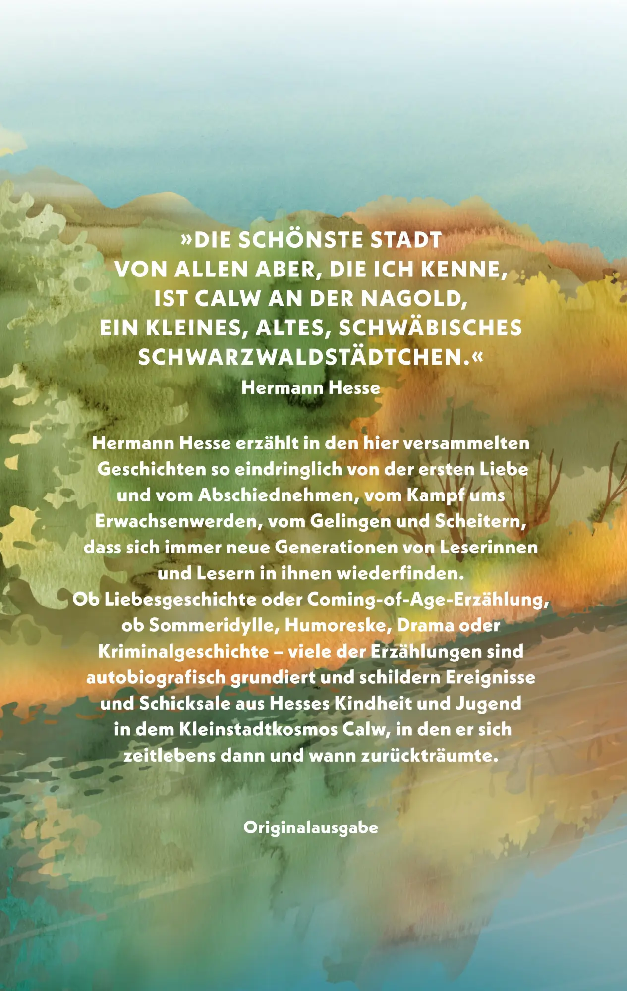 Rückseite: 9783458683735 | Meine kleine Stadt | Geschichten aus Calw | Hermann Hesse | Buch
