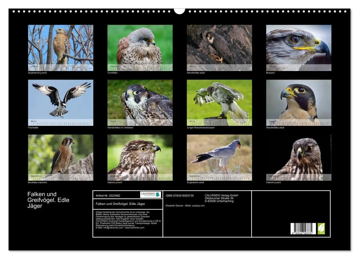 Bild: 9783516093735 | Falken und Greifvögel. Edle Jäger (Wandkalender 2026 DIN A2 quer),...
