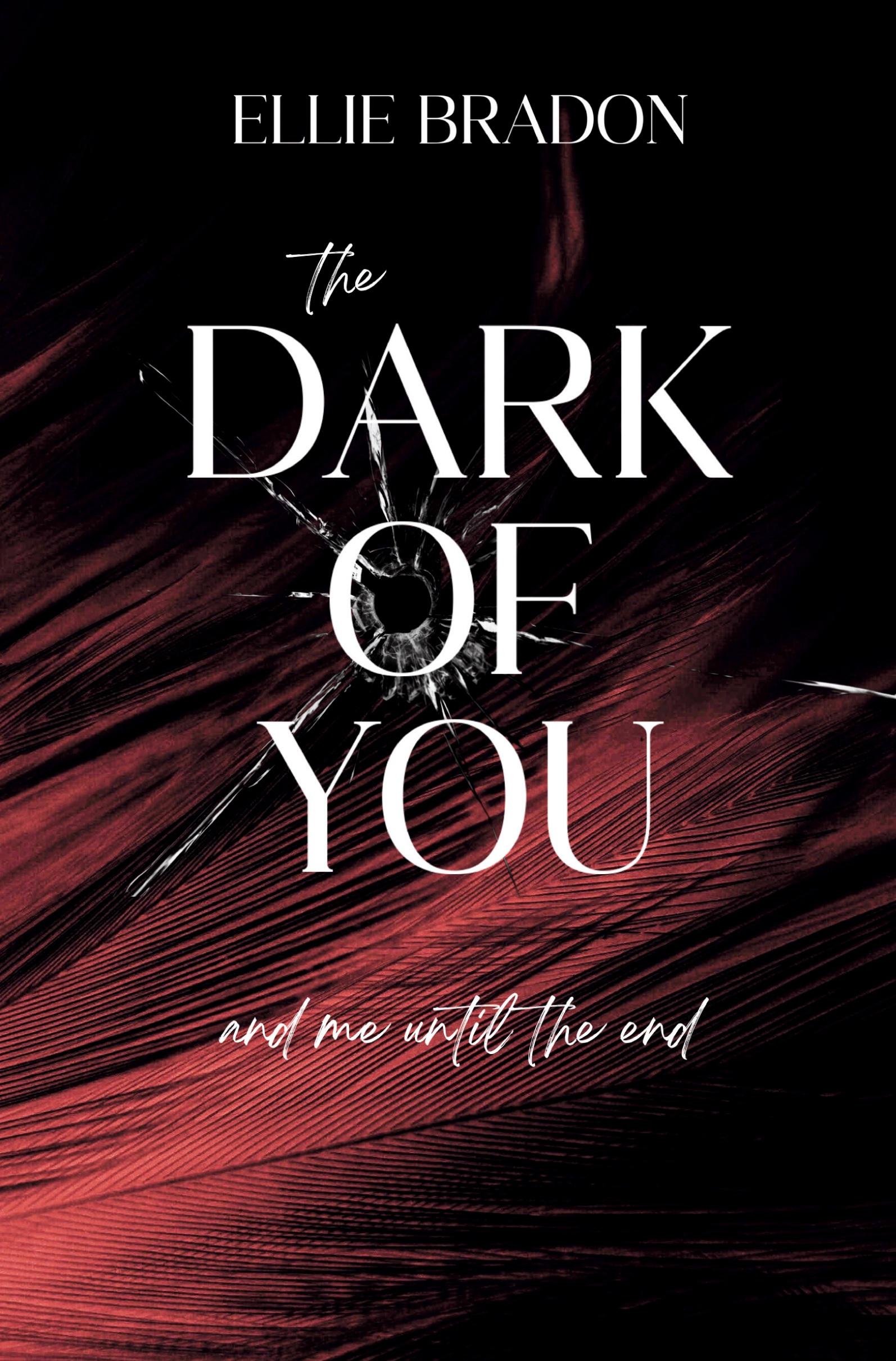 Cover: 9783757973735 | THE DARK OF YOU 4 | You &amp; Me | Ellie Bradon | Taschenbuch | 676 S.