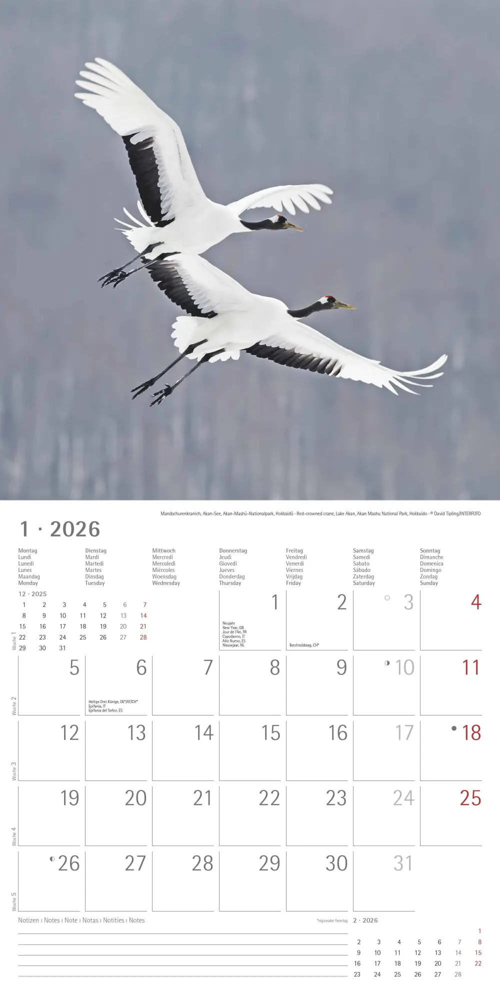 Bild: 4069095003835 | Japan 2026 - Wand-Kalender - Broschüren-Kalender - 30x30 - 30x60...