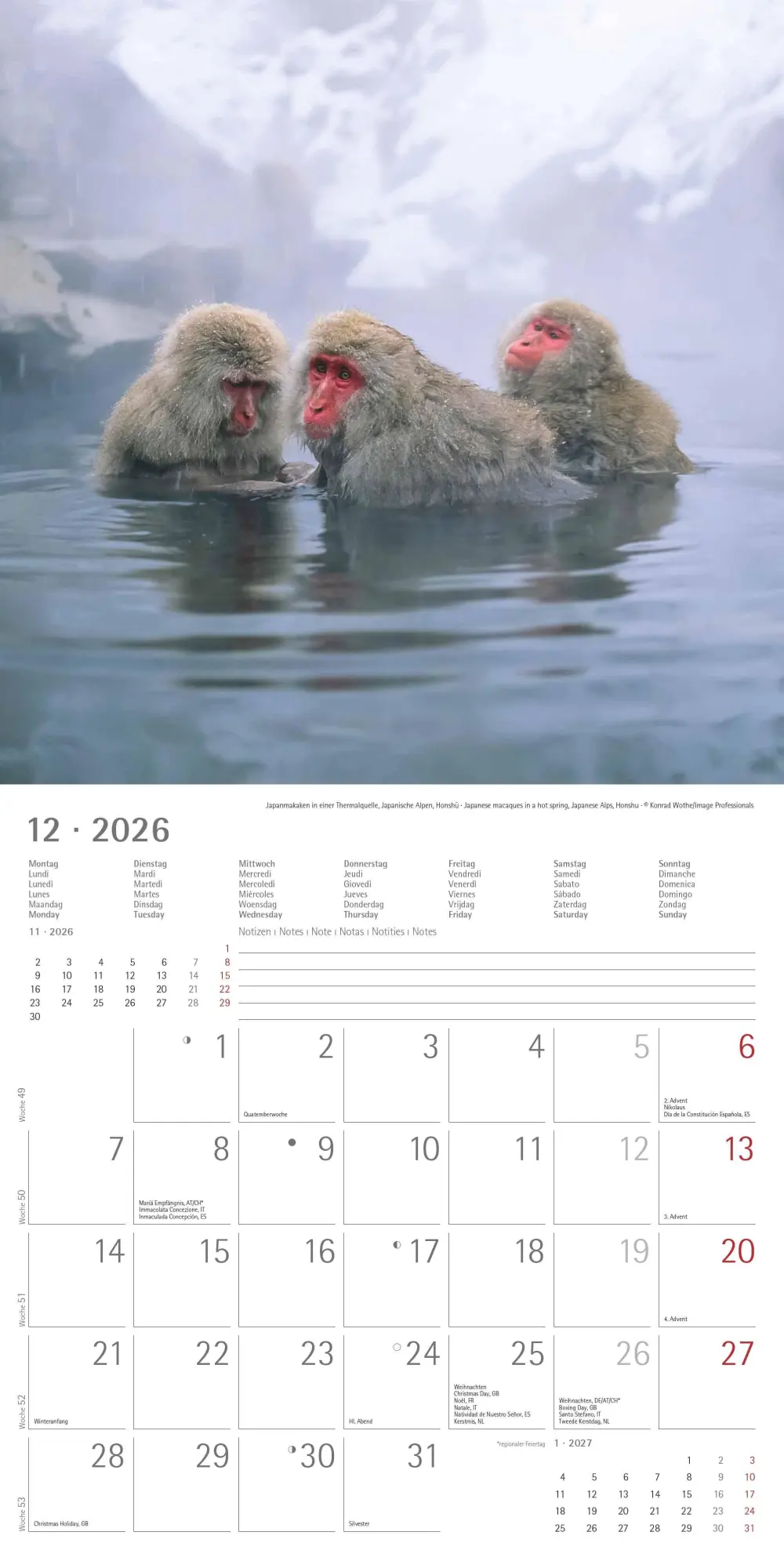 Bild: 4069095003835 | Japan 2026 - Wand-Kalender - Broschüren-Kalender - 30x30 - 30x60...