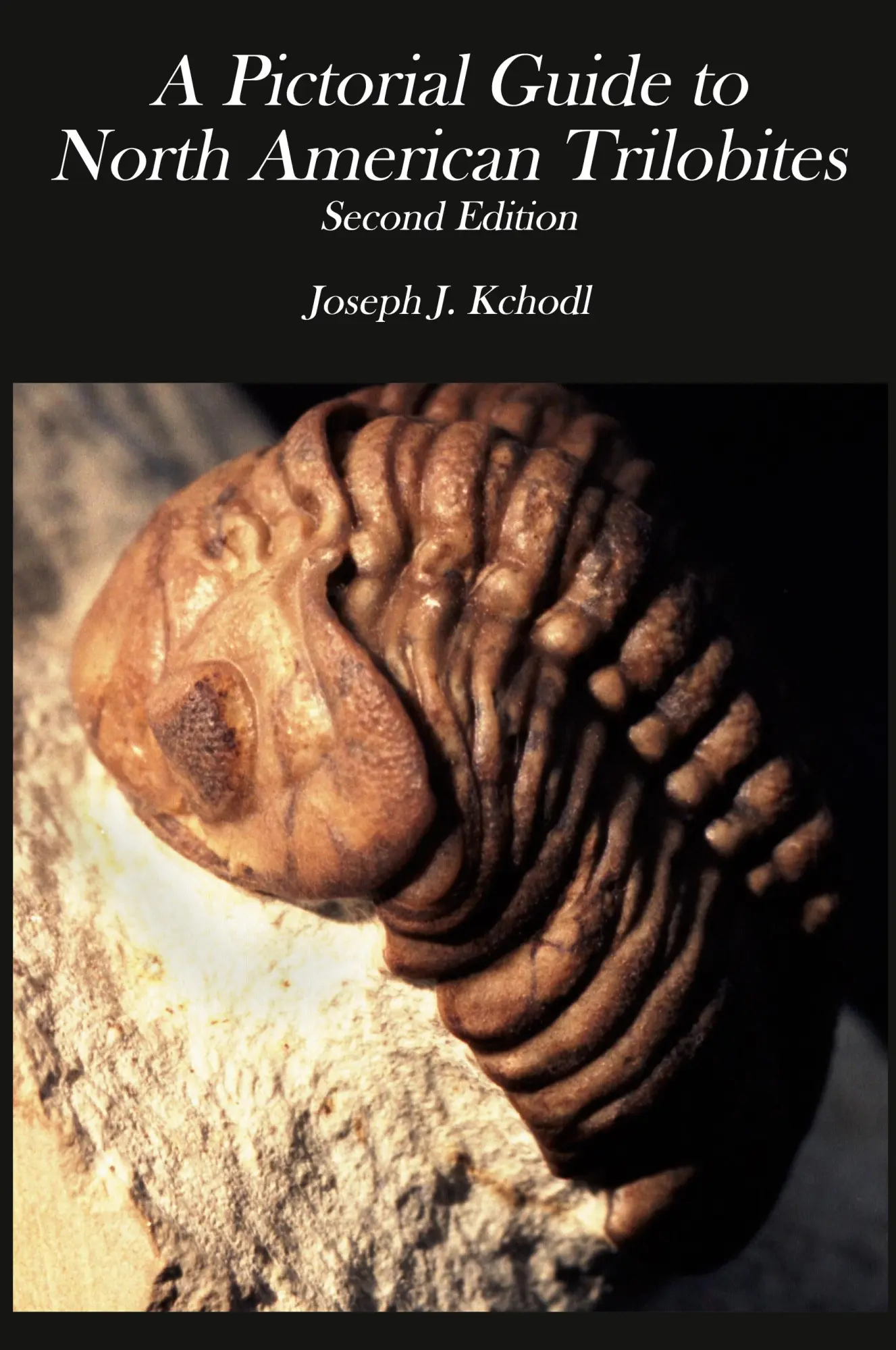 Cover: 9780368263835 | Pictorial Guide to North American Trilobites | Joseph J. Kchodl | Buch