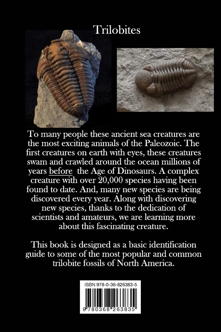 Rückseite: 9780368263835 | Pictorial Guide to North American Trilobites | Joseph J. Kchodl | Buch