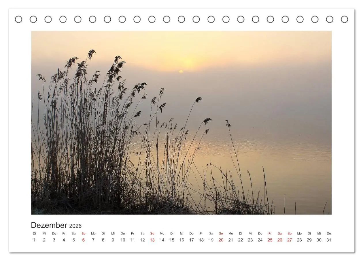 Bild: 9783516223835 | Lichtzauber 2026 (Tischkalender 2026 DIN A5 quer), CALVENDO...