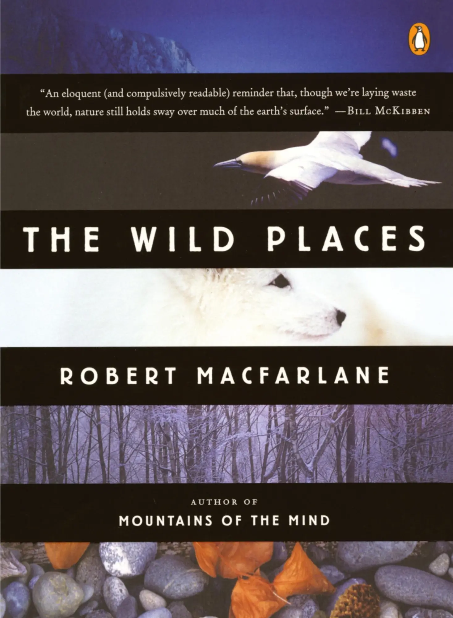 Cover: 9780143113935 | The Wild Places | Robert Macfarlane | Taschenbuch | Englisch | 2008