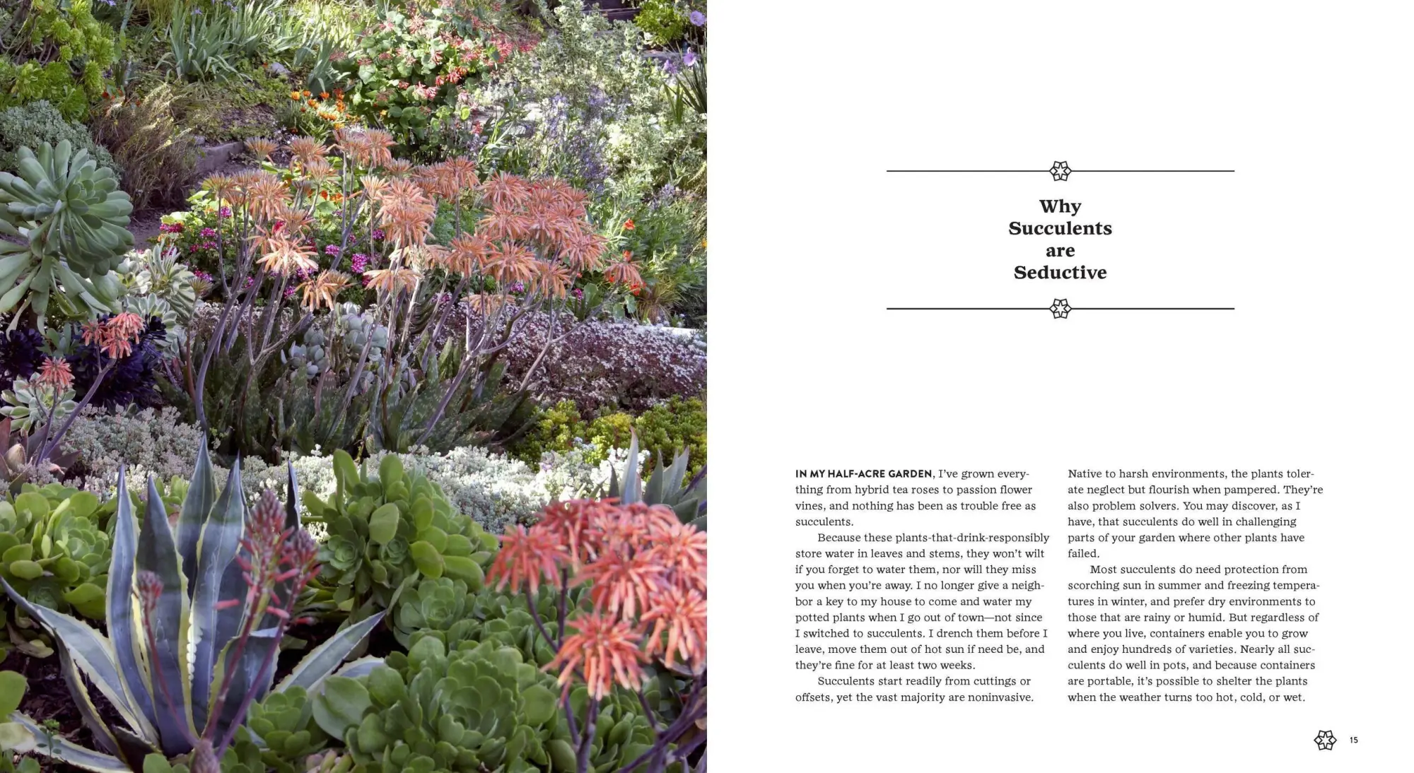 Bild: 9781604693935 | Succulents Simplified | Debra Lee Baldwin | Taschenbuch | Englisch