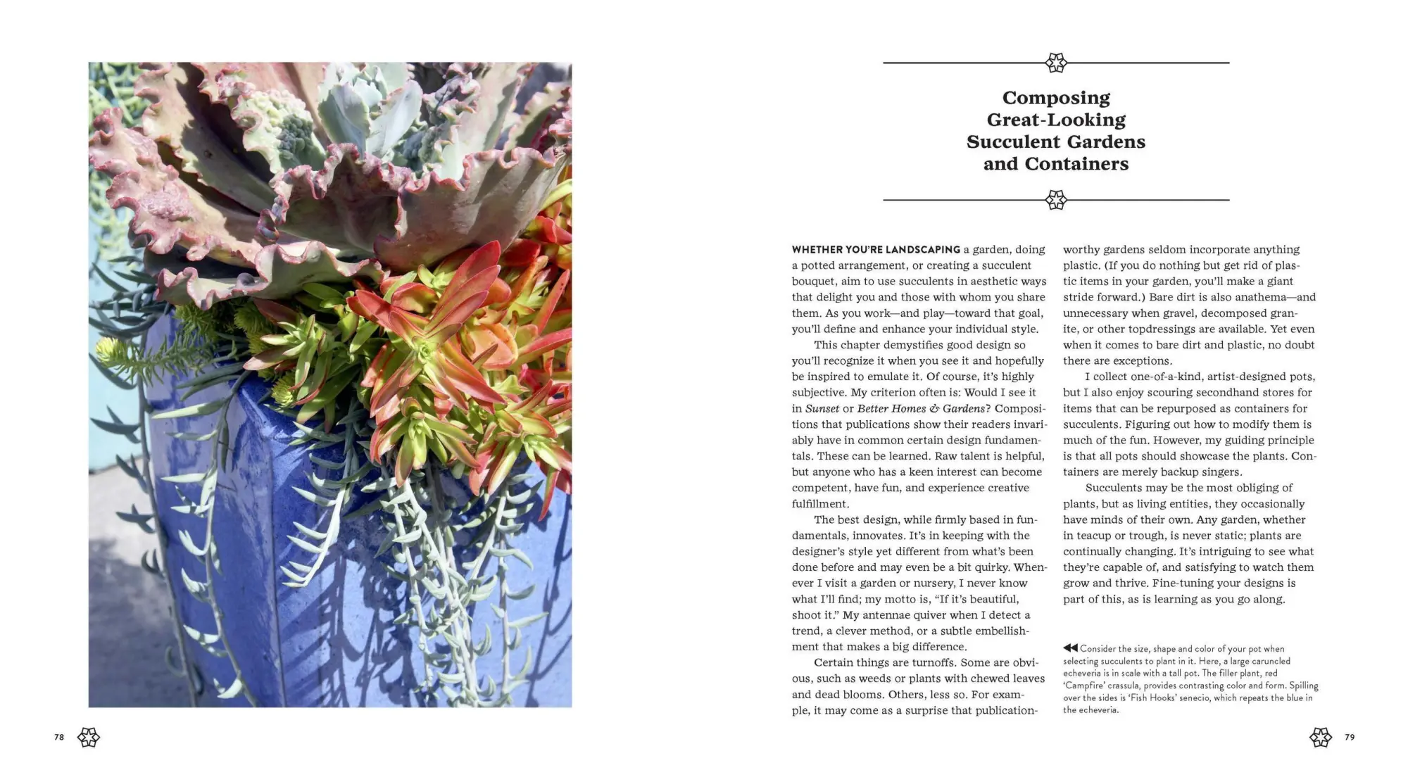Bild: 9781604693935 | Succulents Simplified | Debra Lee Baldwin | Taschenbuch | Englisch