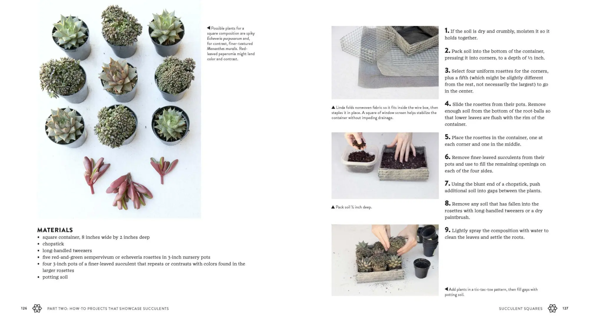 Bild: 9781604693935 | Succulents Simplified | Debra Lee Baldwin | Taschenbuch | Englisch