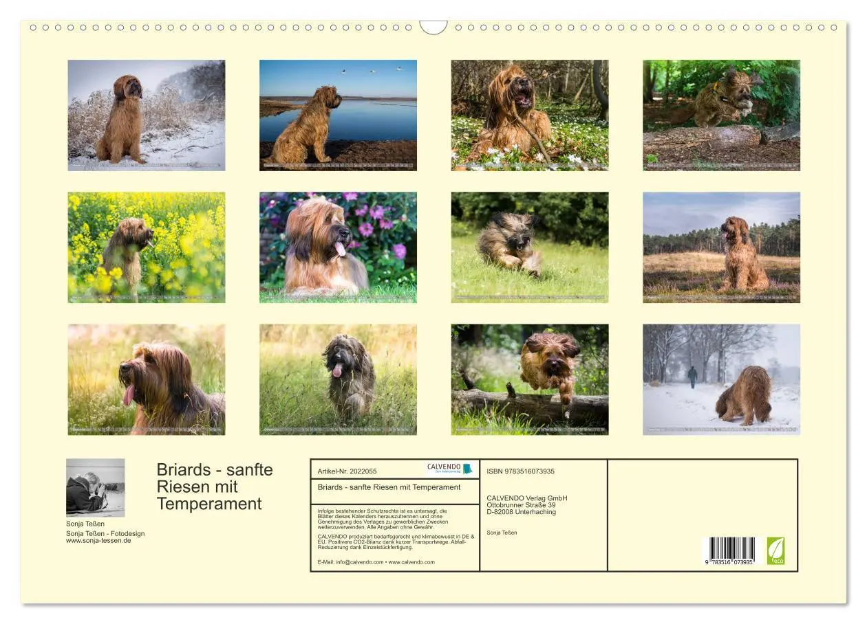 Bild: 9783516073935 | Briards - sanfte Riesen mit Temperament (Wandkalender 2026 DIN A2...