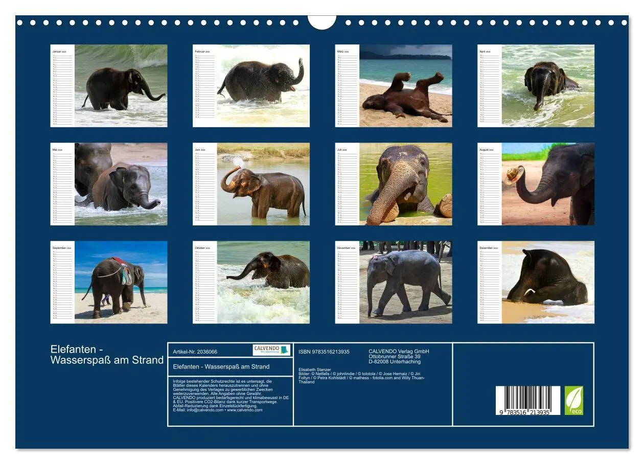 Bild: 9783516213935 | Elefanten - Wasserspaß am Strand (Wandkalender 2026 DIN A3 quer),...