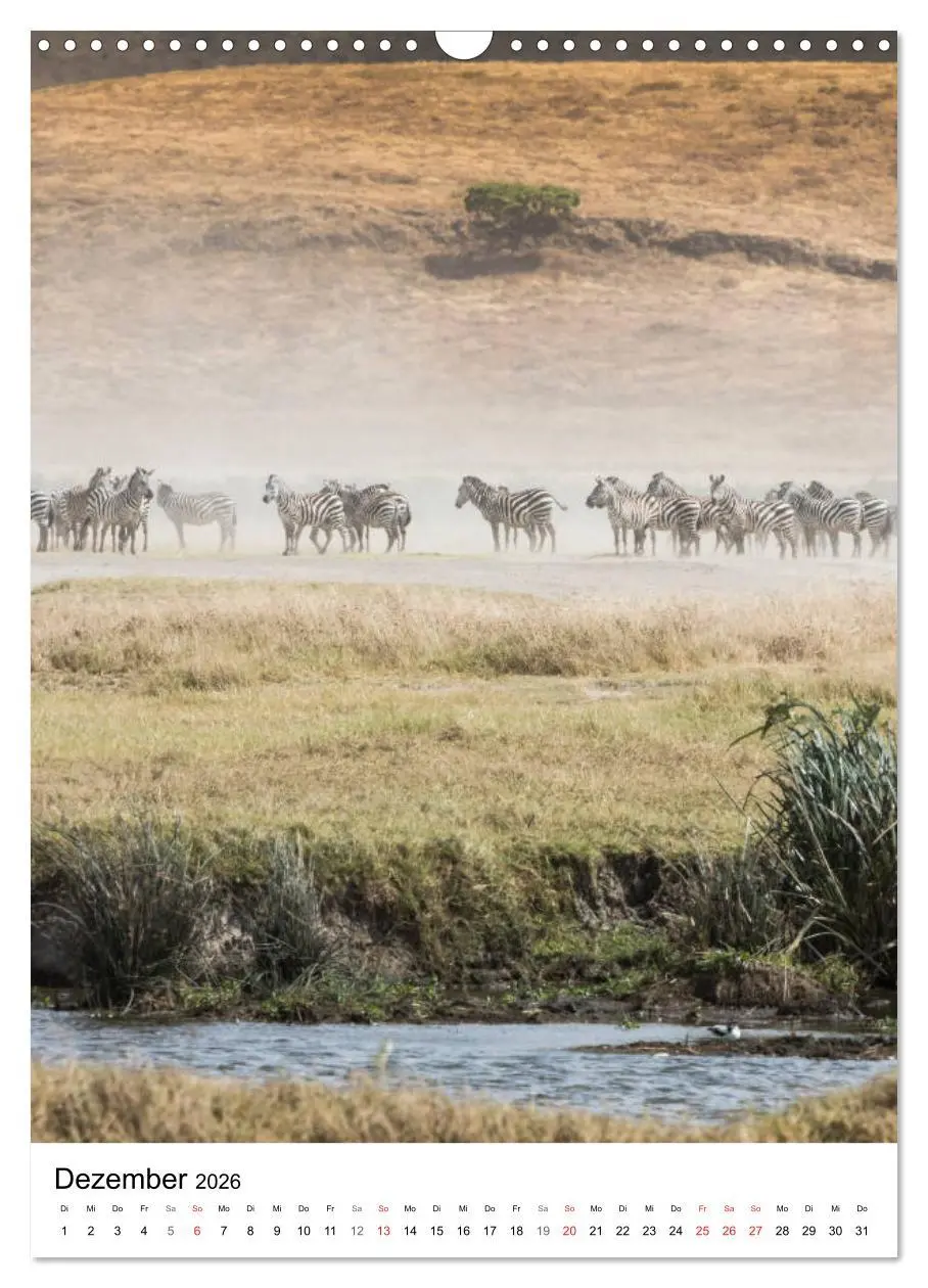 Bild: 9783516383935 | Serengeti Pur - Tansania (Wandkalender 2026 DIN A3 hoch), CALVENDO...