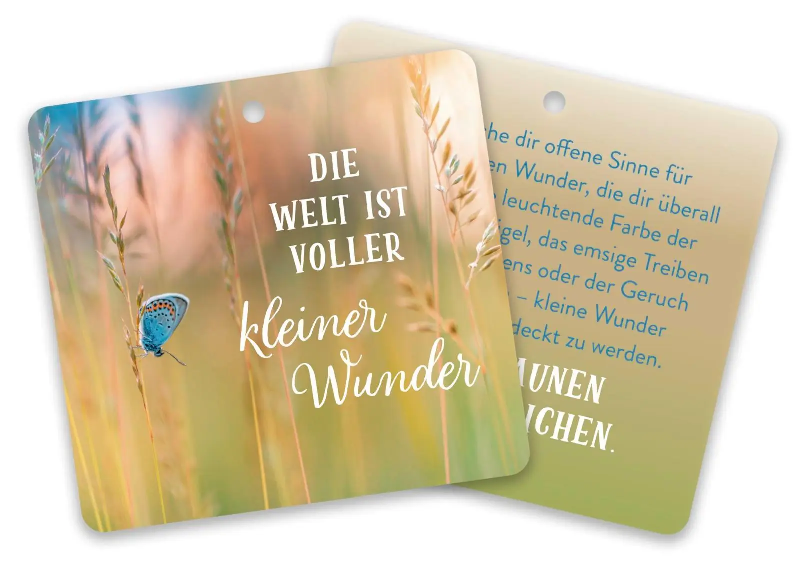 Bild: 4036442014035 | Alles Liebe wünsch ich dir | Groh Verlag | Box | 24 S. | Deutsch