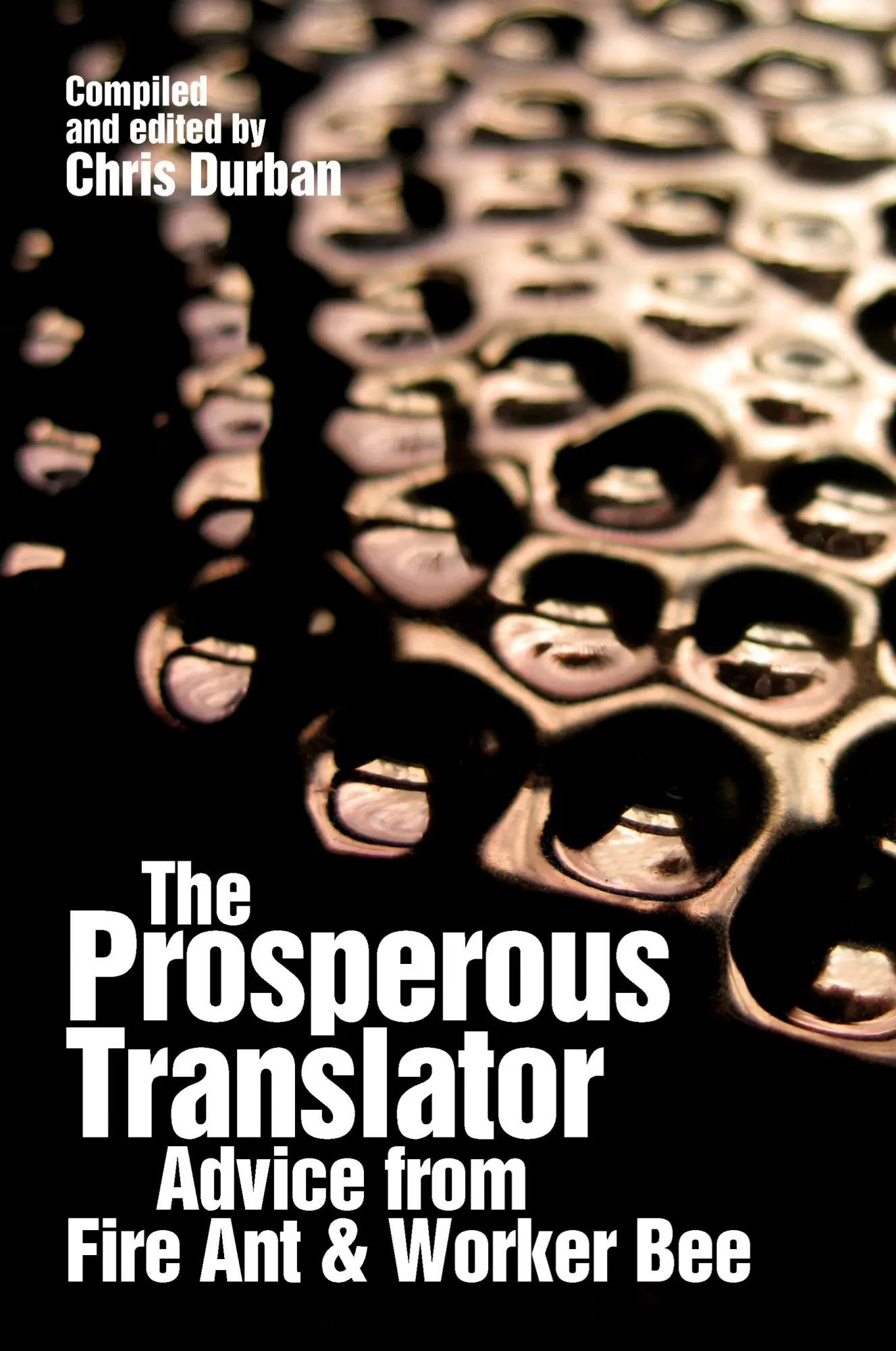 Cover: 9780615404035 | The Prosperous Translator | Chris Durban | Taschenbuch | Englisch