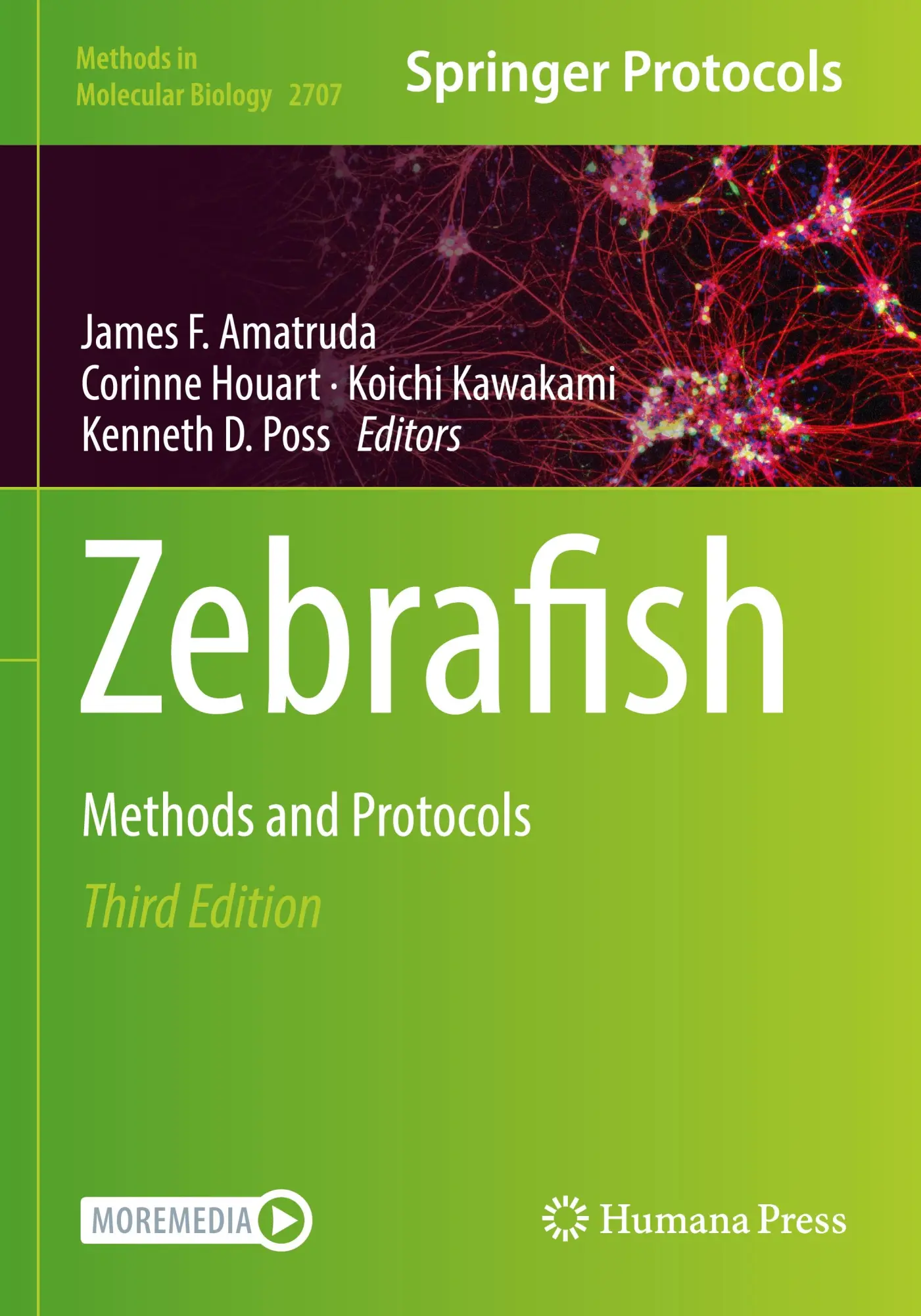 Cover: 9781071634035 | Zebrafish | Methods and Protocols | James F. Amatruda (u. a.) | Buch