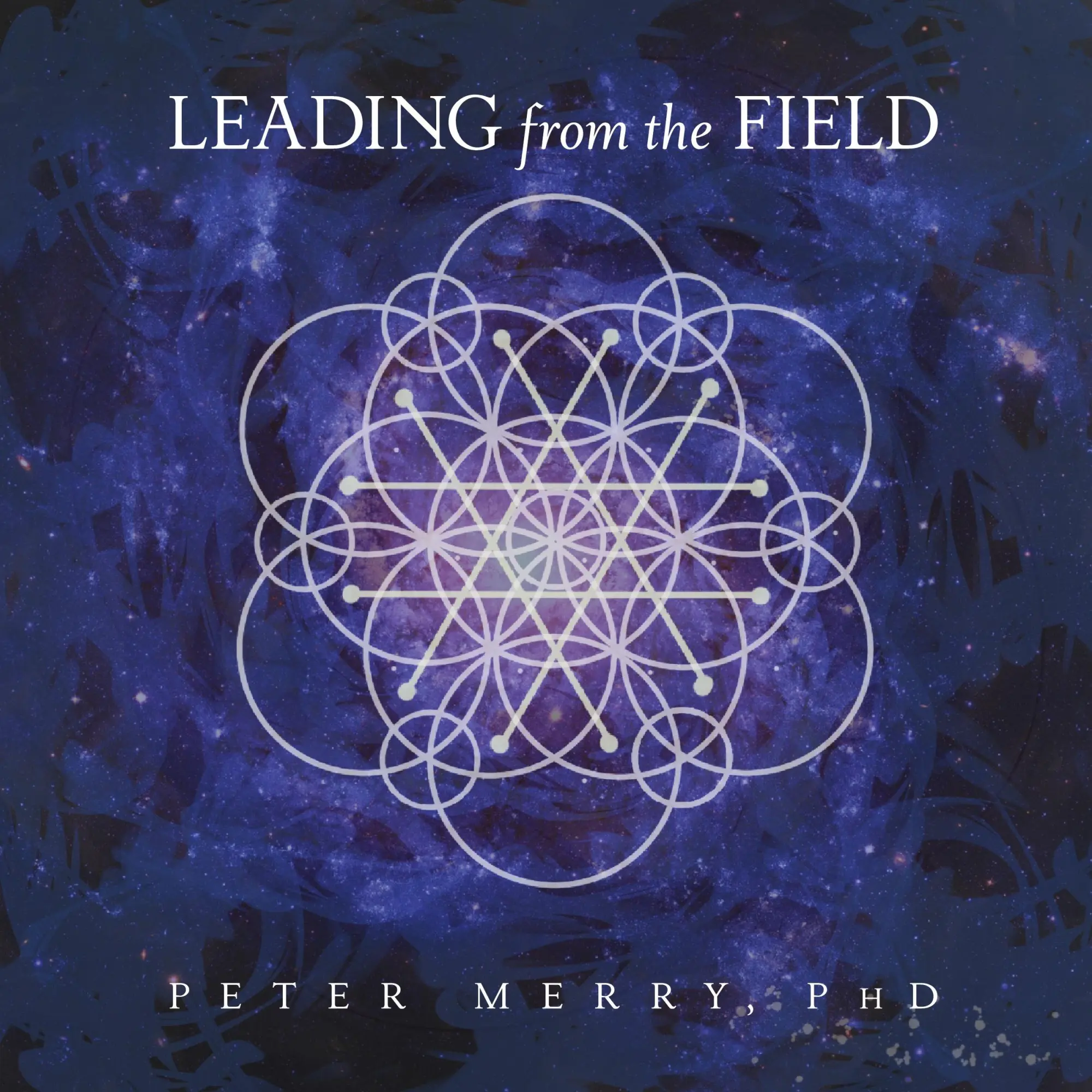 Cover: 9781953754035 | Leading from the Field | Twelve Principles for Energetic Stewardship