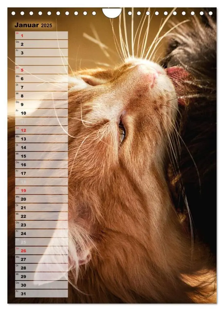 Bild: 9783457014035 | DIE GEFÜHLSWELT (Wandkalender 2025 DIN A4 hoch), CALVENDO...