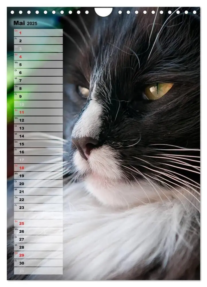 Bild: 9783457014035 | DIE GEFÜHLSWELT (Wandkalender 2025 DIN A4 hoch), CALVENDO...