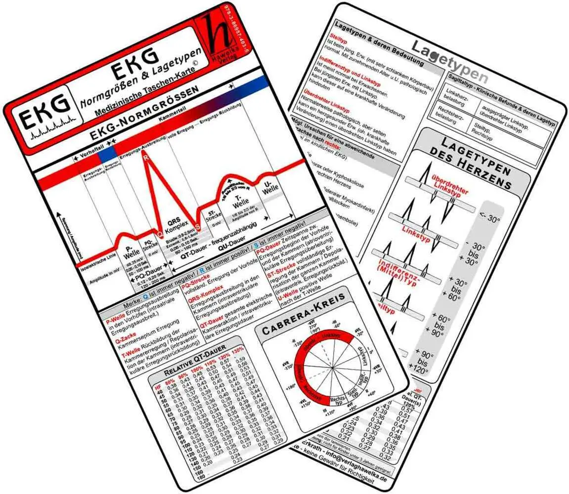 Cover: 9783869574035 | EKG Normgrößen &amp; Lagetypen - Medizinische Taschen-Karte | Verlag