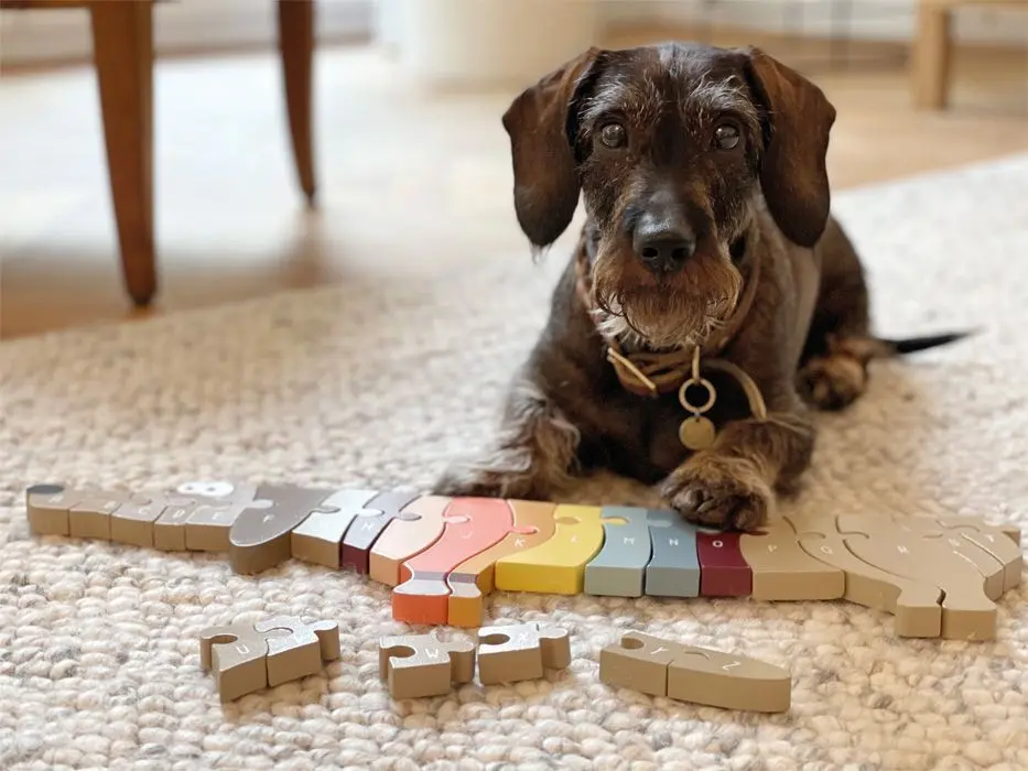Bild: 4020972124135 | Buchstabenpuzzle Hund | Klappbox | 12413 | 2024 | Legler