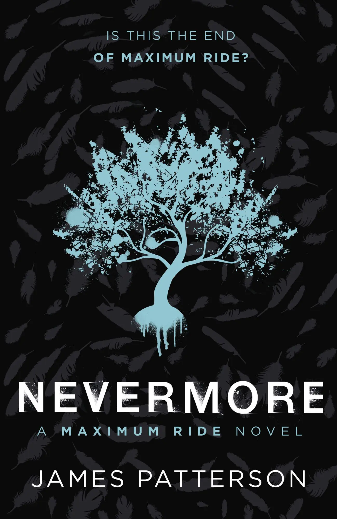 Cornerstone Nevermore, A Maximum Ride Novel