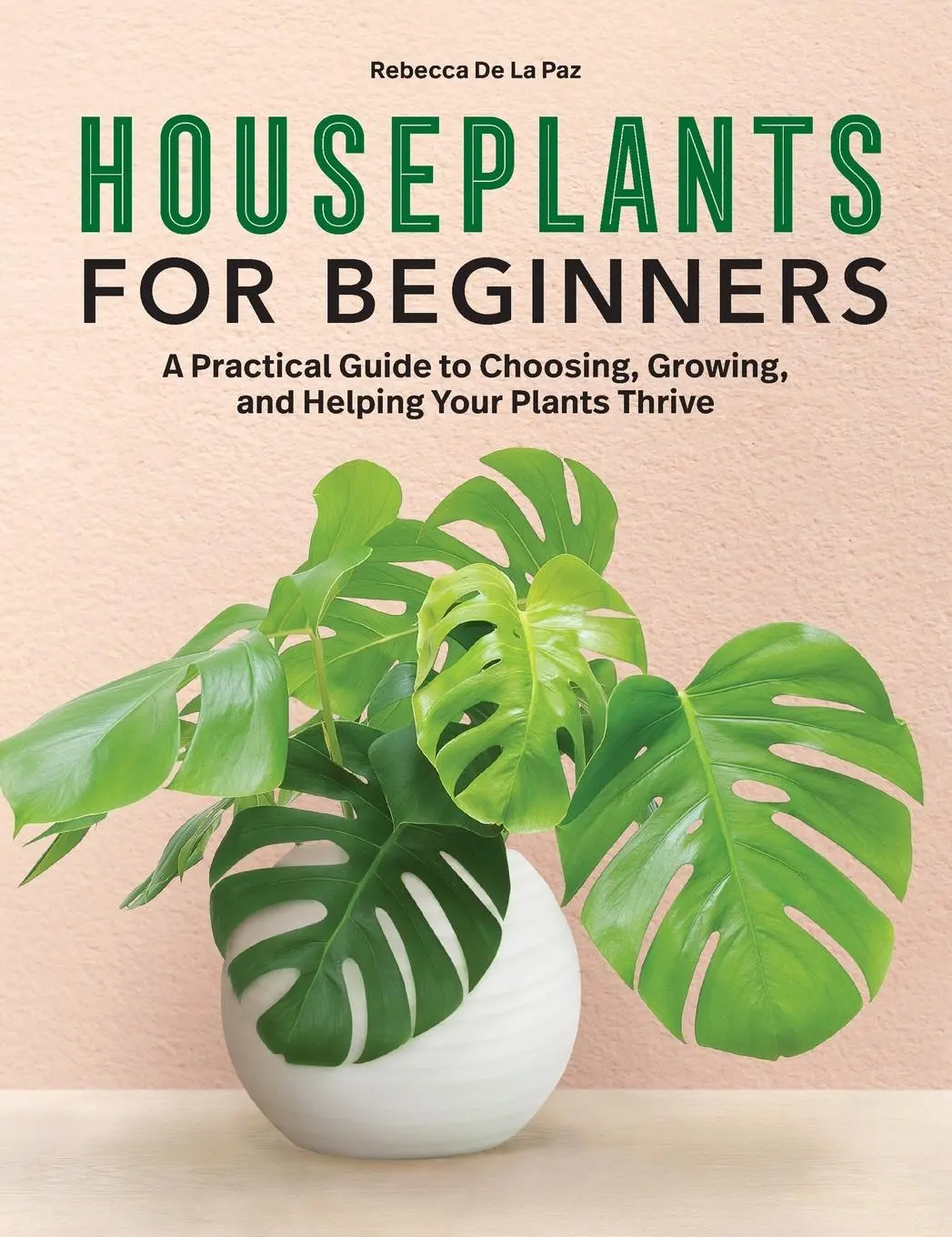 Cover: 9781638784135 | Houseplants for Beginners | Rebecca de La Paz | Buch | Gebunden | 2021