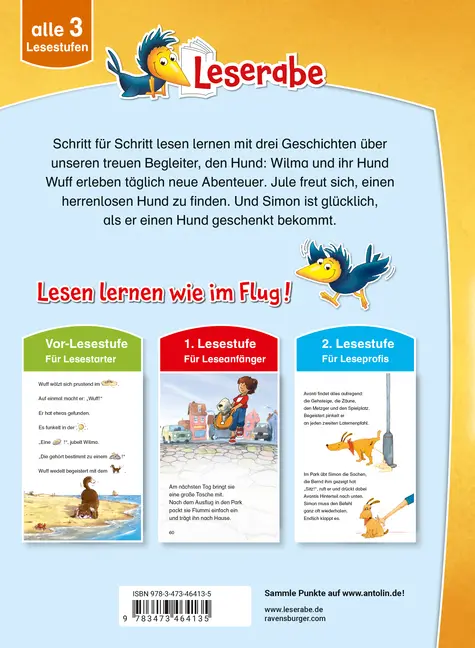 Bild: 9783473464135 | Leserabe Sonderausgaben - Hundegeschichten zum Lesenlernen | Buch