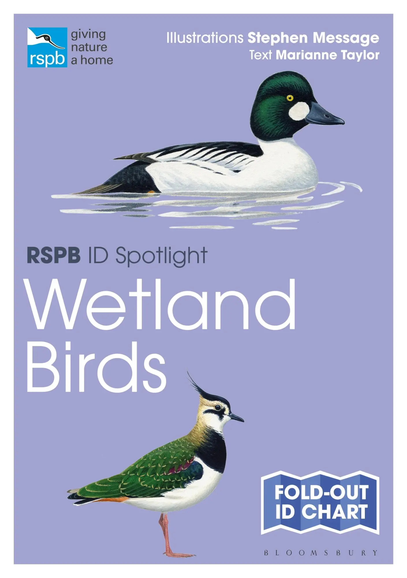 Cover: 9781472974235 | RSPB ID Spotlight - Wetland Birds | Marianne Taylor | Taschenbuch