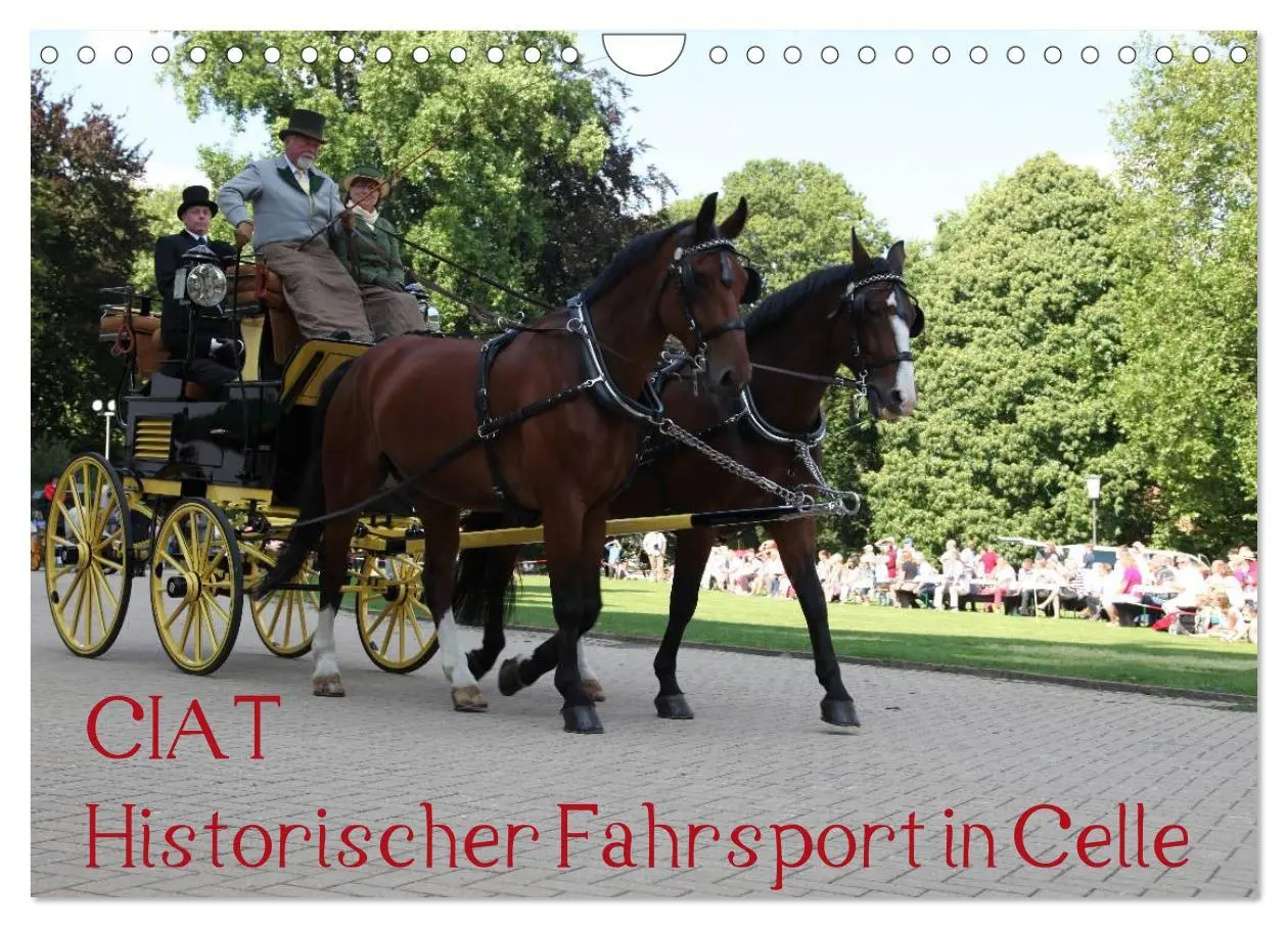Cover: 9783516014235 | CIAT - Historischer Fahrsport in Celle (Wandkalender 2026 DIN A4...