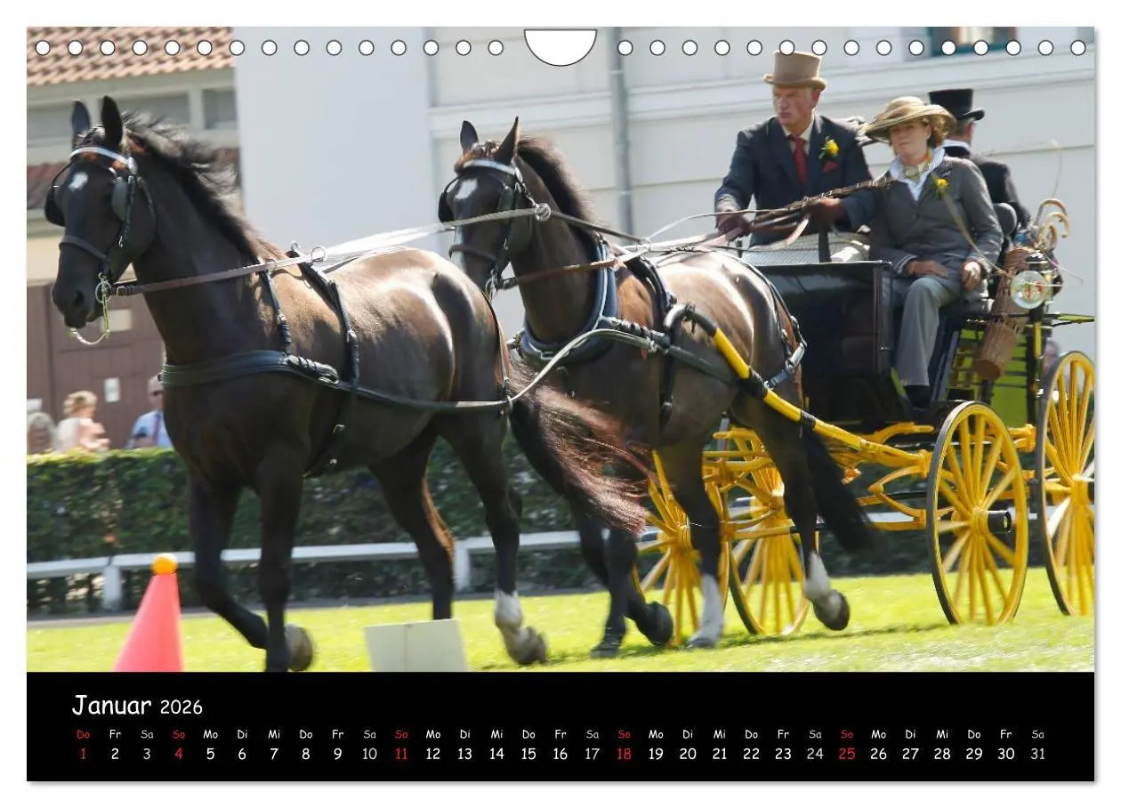Bild: 9783516014235 | CIAT - Historischer Fahrsport in Celle (Wandkalender 2026 DIN A4...