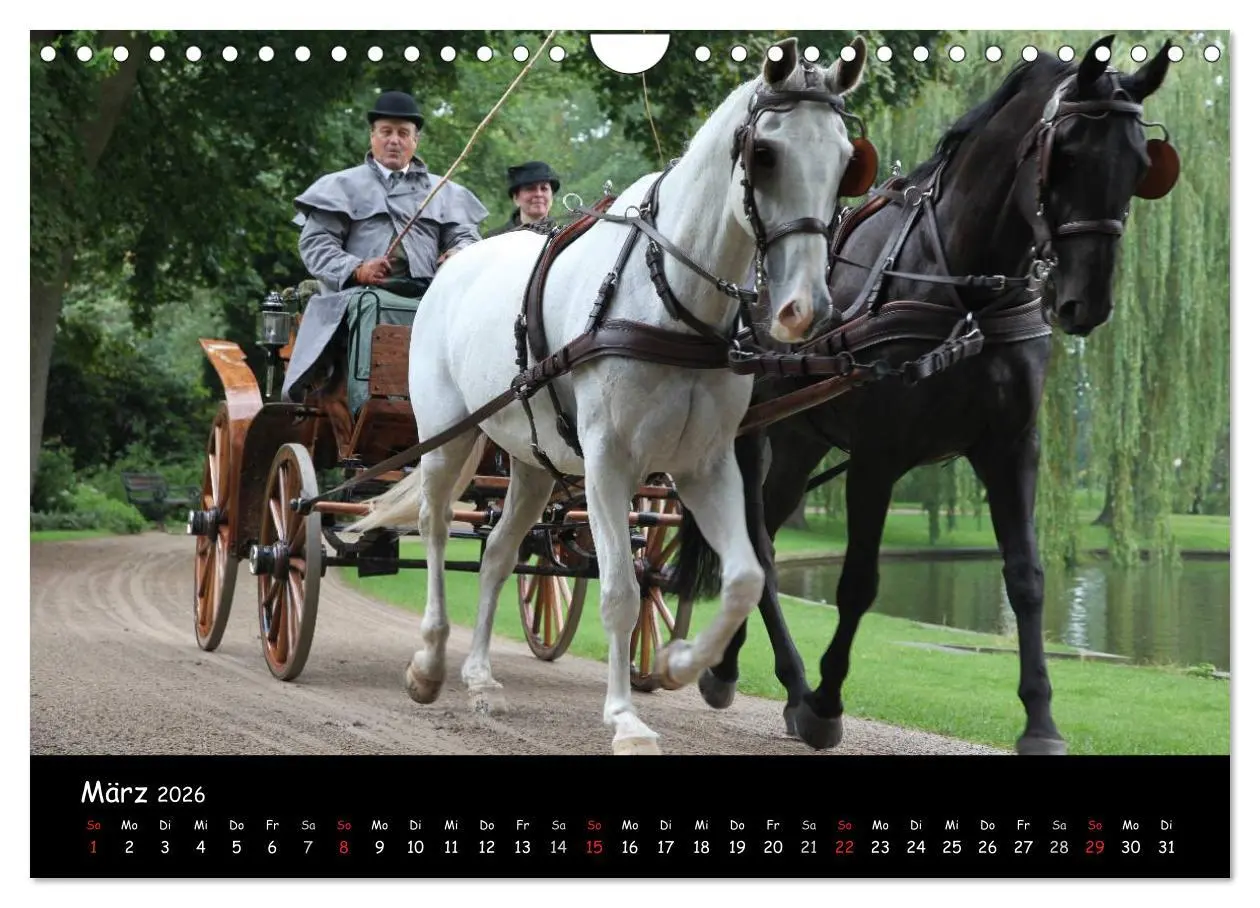Bild: 9783516014235 | CIAT - Historischer Fahrsport in Celle (Wandkalender 2026 DIN A4...