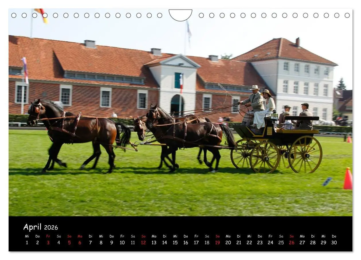 Bild: 9783516014235 | CIAT - Historischer Fahrsport in Celle (Wandkalender 2026 DIN A4...