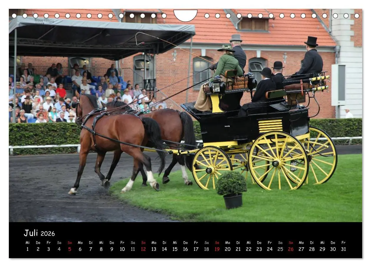 Bild: 9783516014235 | CIAT - Historischer Fahrsport in Celle (Wandkalender 2026 DIN A4...