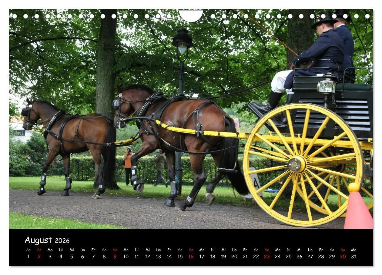 Bild: 9783516014235 | CIAT - Historischer Fahrsport in Celle (Wandkalender 2026 DIN A4...