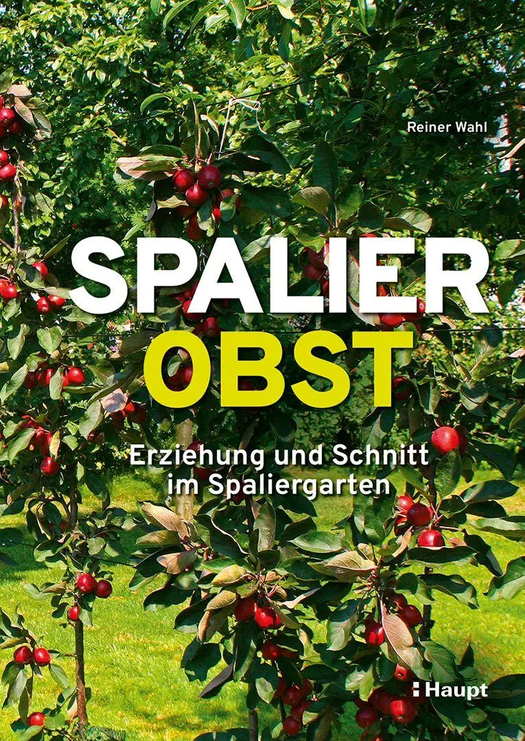 Cover: 9783258084435 | Spalierobst | Erziehung und Schnitt im Spaliergarten | Reiner Wahl