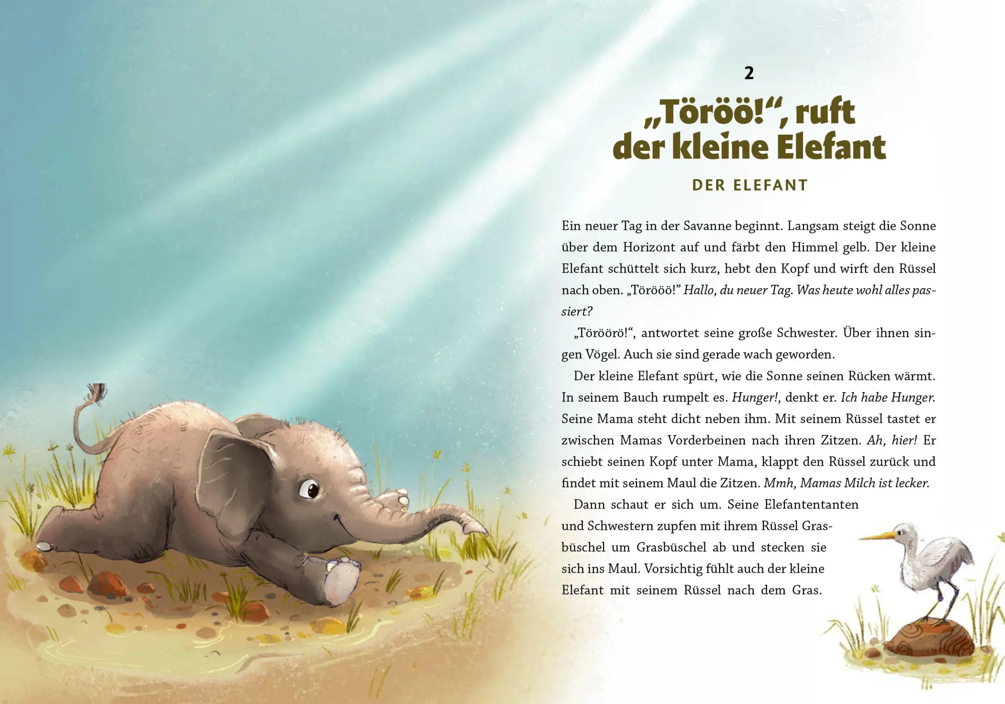 Bild: 9783961294435 | Gute Nacht, kleiner Koala - 20 tierische Einschlafgeschichten | Buch