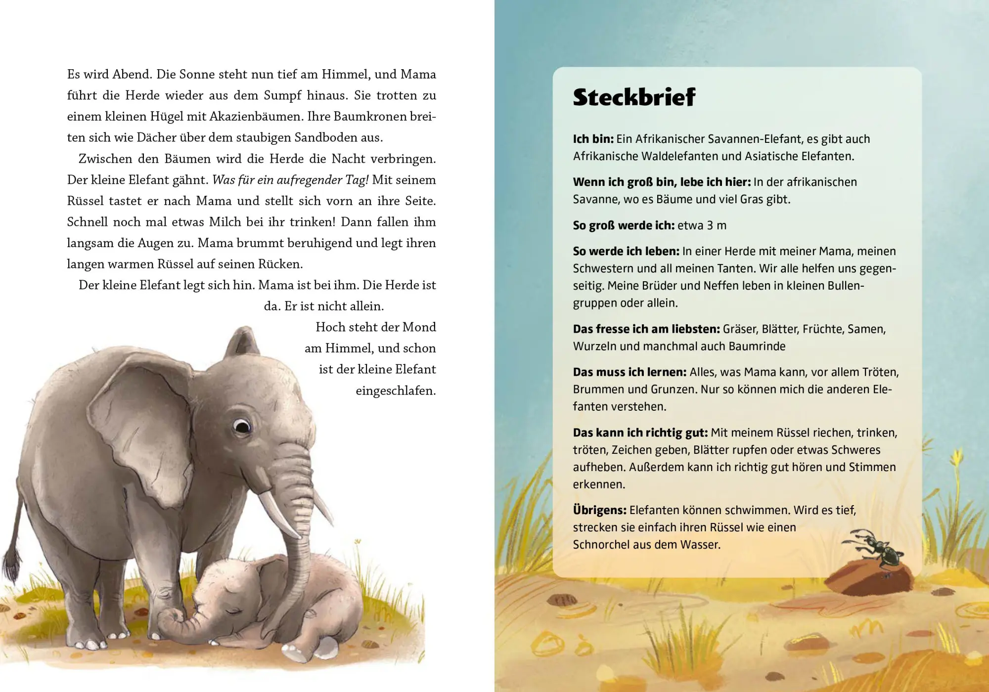 Bild: 9783961294435 | Gute Nacht, kleiner Koala - 20 tierische Einschlafgeschichten | Buch