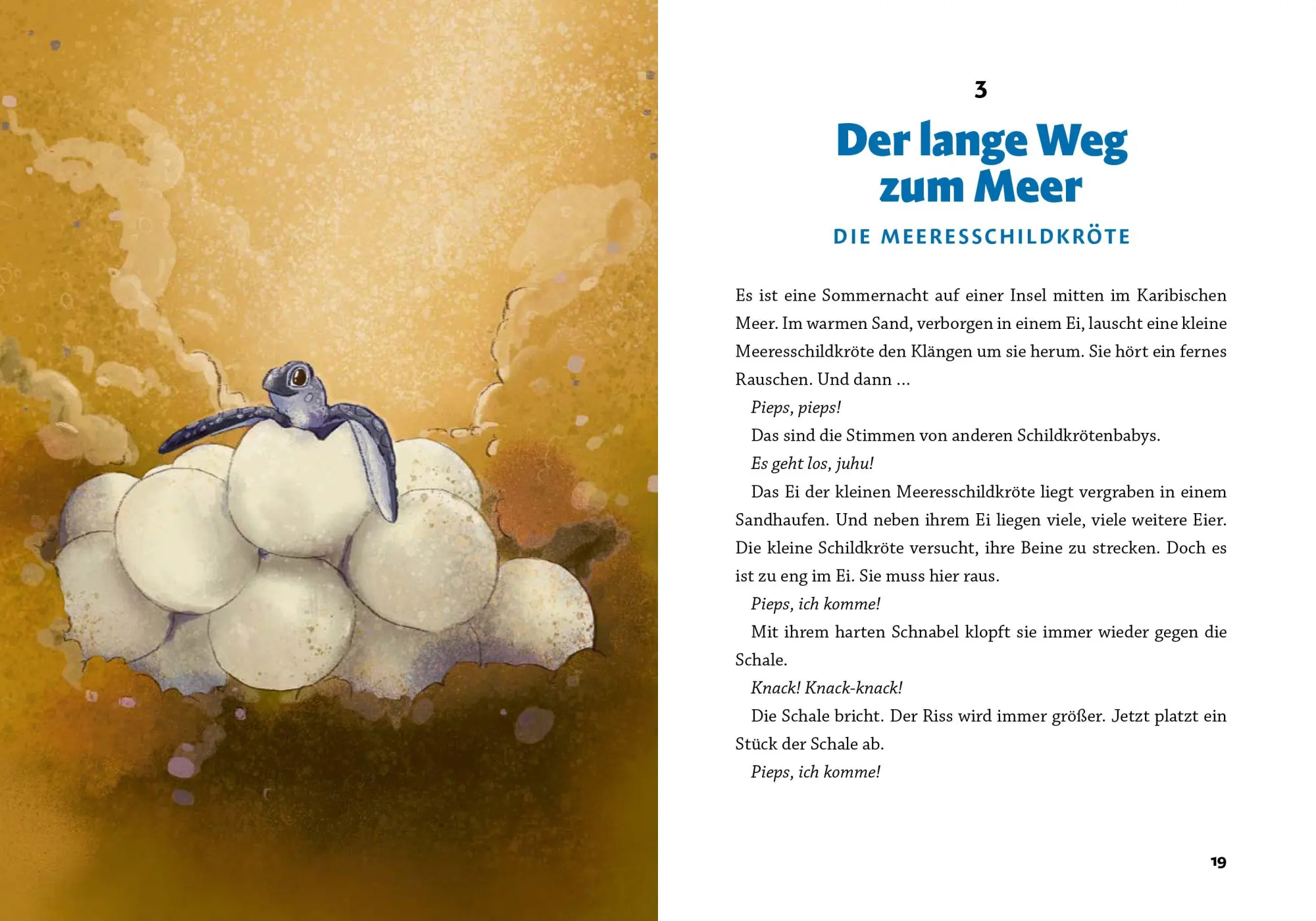Bild: 9783961294435 | Gute Nacht, kleiner Koala - 20 tierische Einschlafgeschichten | Buch
