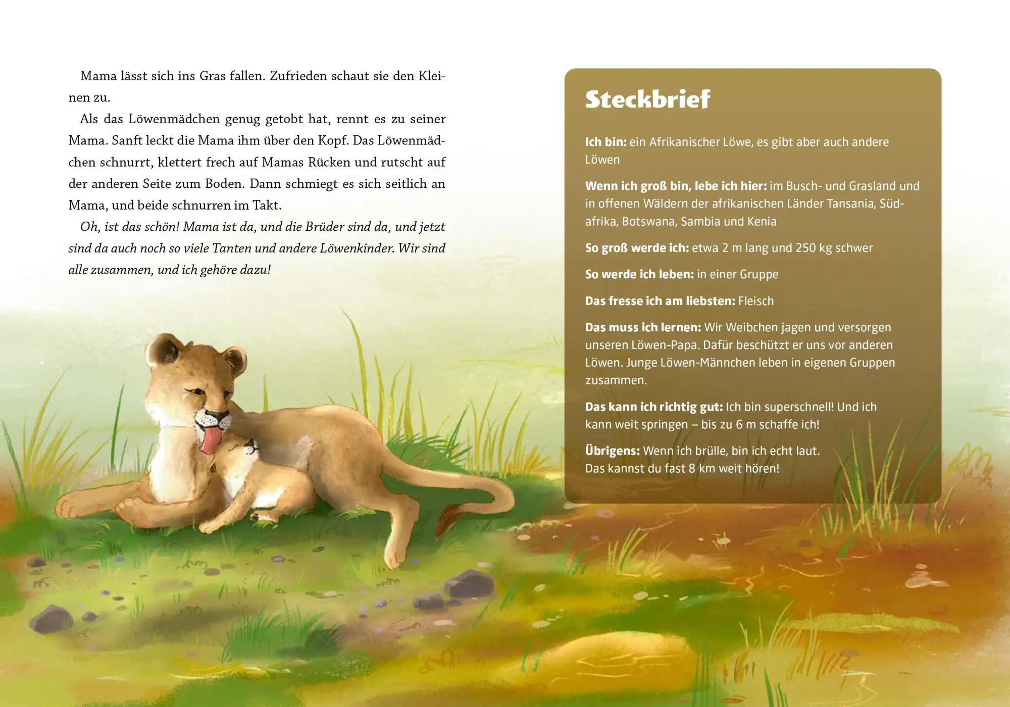 Bild: 9783961294435 | Gute Nacht, kleiner Koala - 20 tierische Einschlafgeschichten | Buch