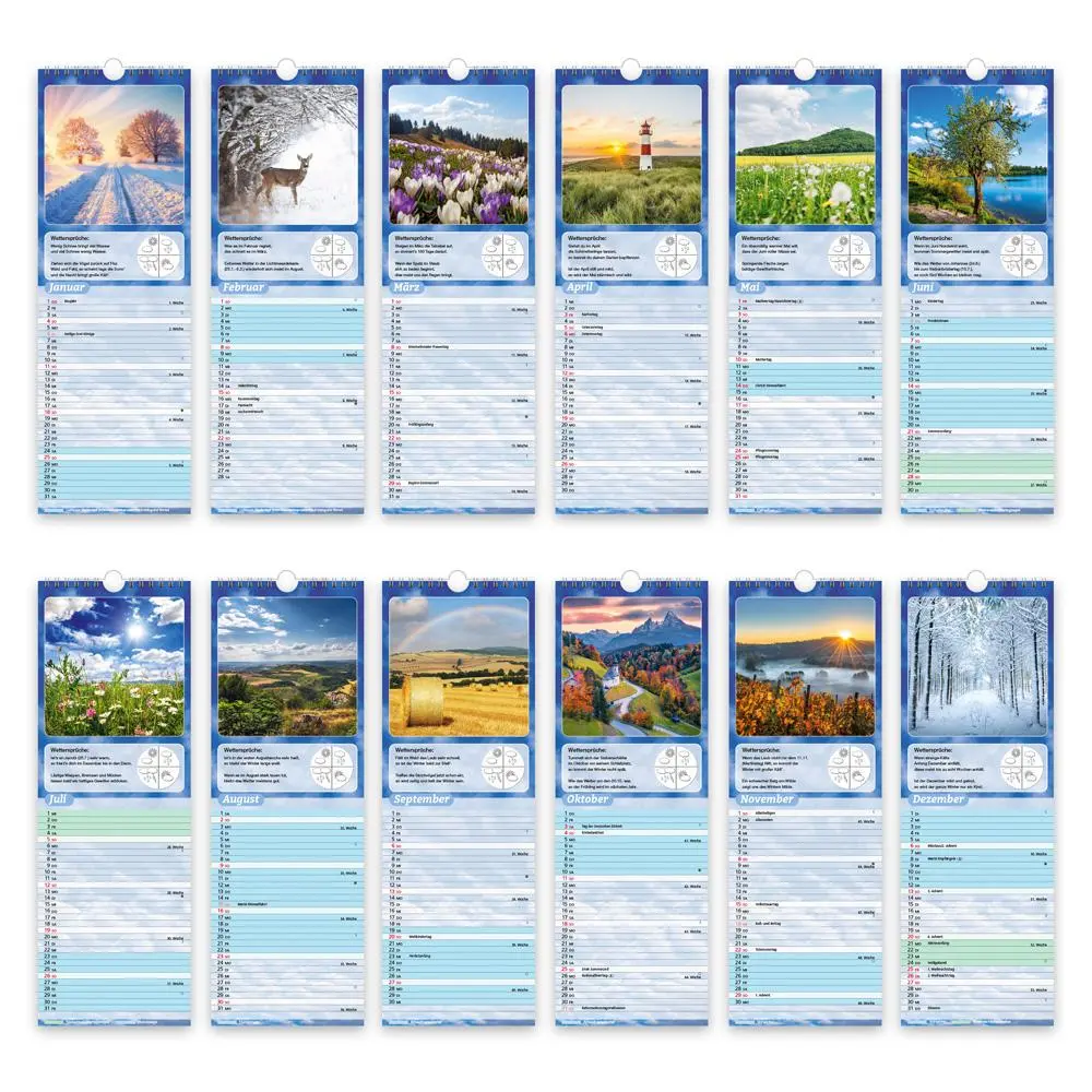 Bild: 9783988024435 | Trötsch Streifenkalender Wetterkalender 2026 Notizkalender | KG | XXIV