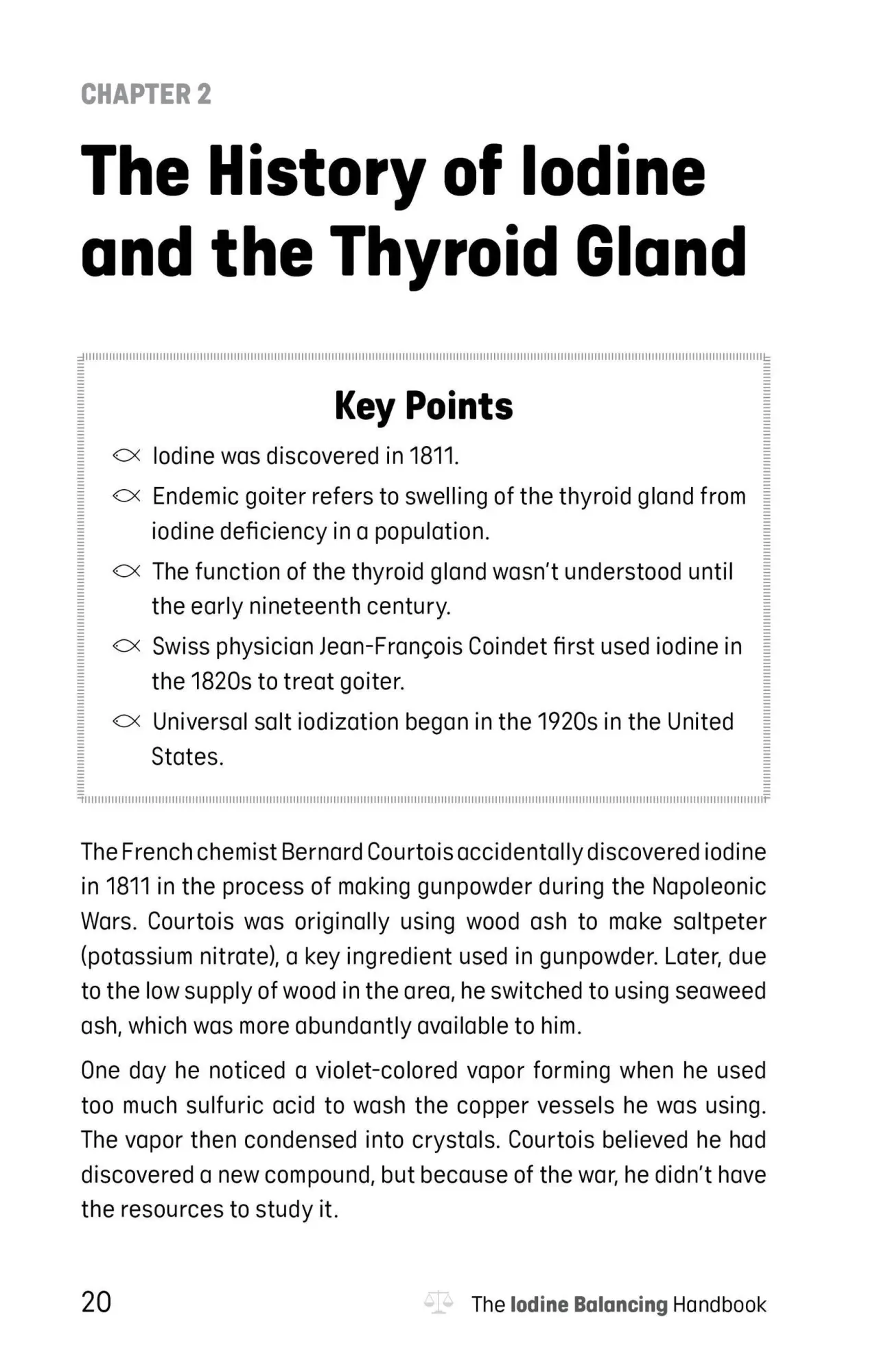 Bild: 9781646044535 | Iodine Balancing Handbook | Malini Ghoshal | Taschenbuch | Englisch