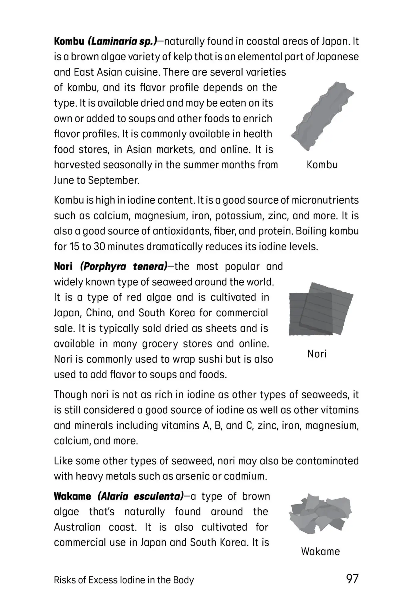 Bild: 9781646044535 | Iodine Balancing Handbook | Malini Ghoshal | Taschenbuch | Englisch