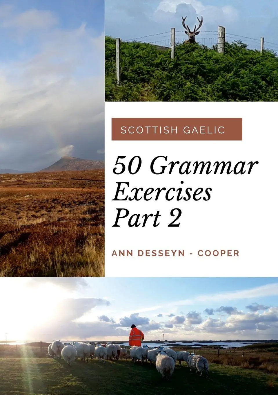 Cover: 9781716334535 | 50 Grammar Exercises Part 2 | Scottish Gaelic | Taschenbuch | 2020