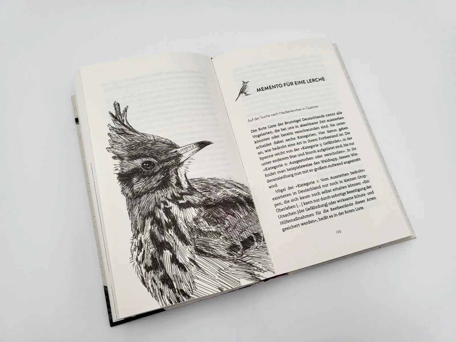 Bild: 9783827014535 | Wanderer zwischen den Welten | Caroline Ring | Buch | 288 S. | Deutsch