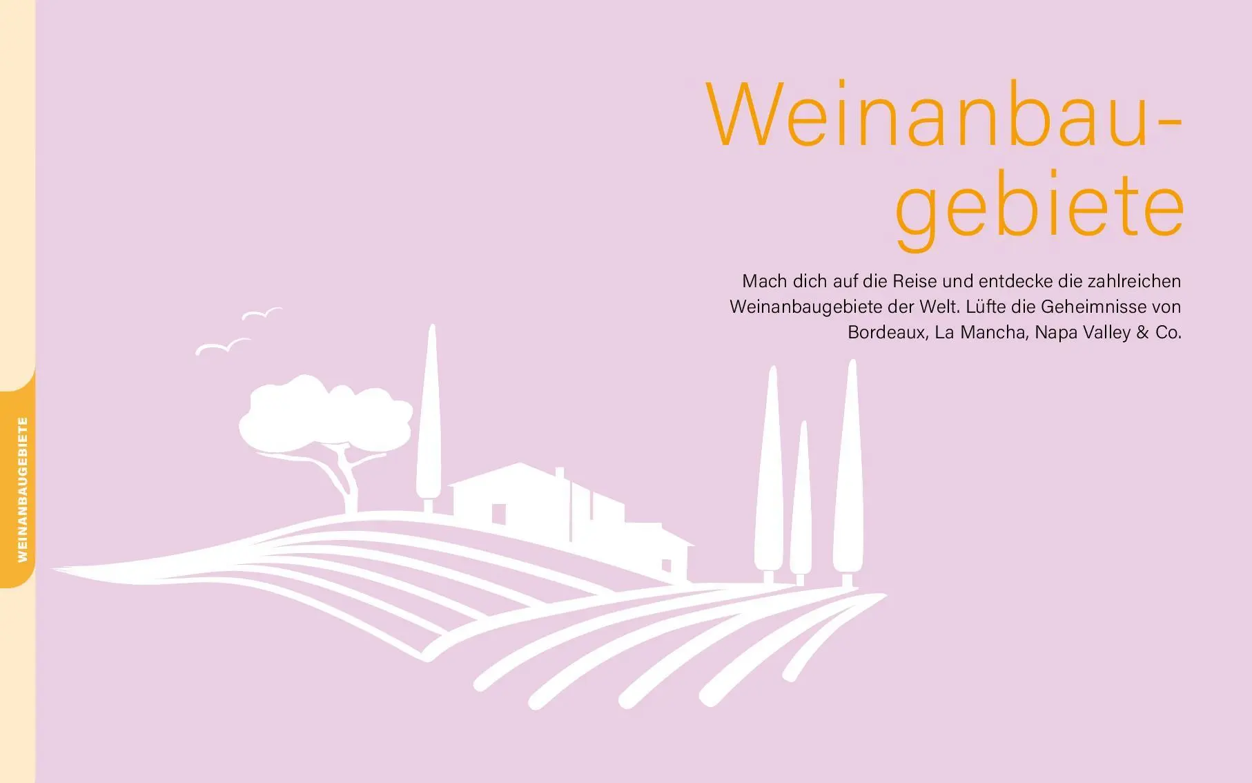 Bild: 9783961284535 | Wein I Wissen in Rätseln | Christina Seibold | Taschenbuch | Deutsch