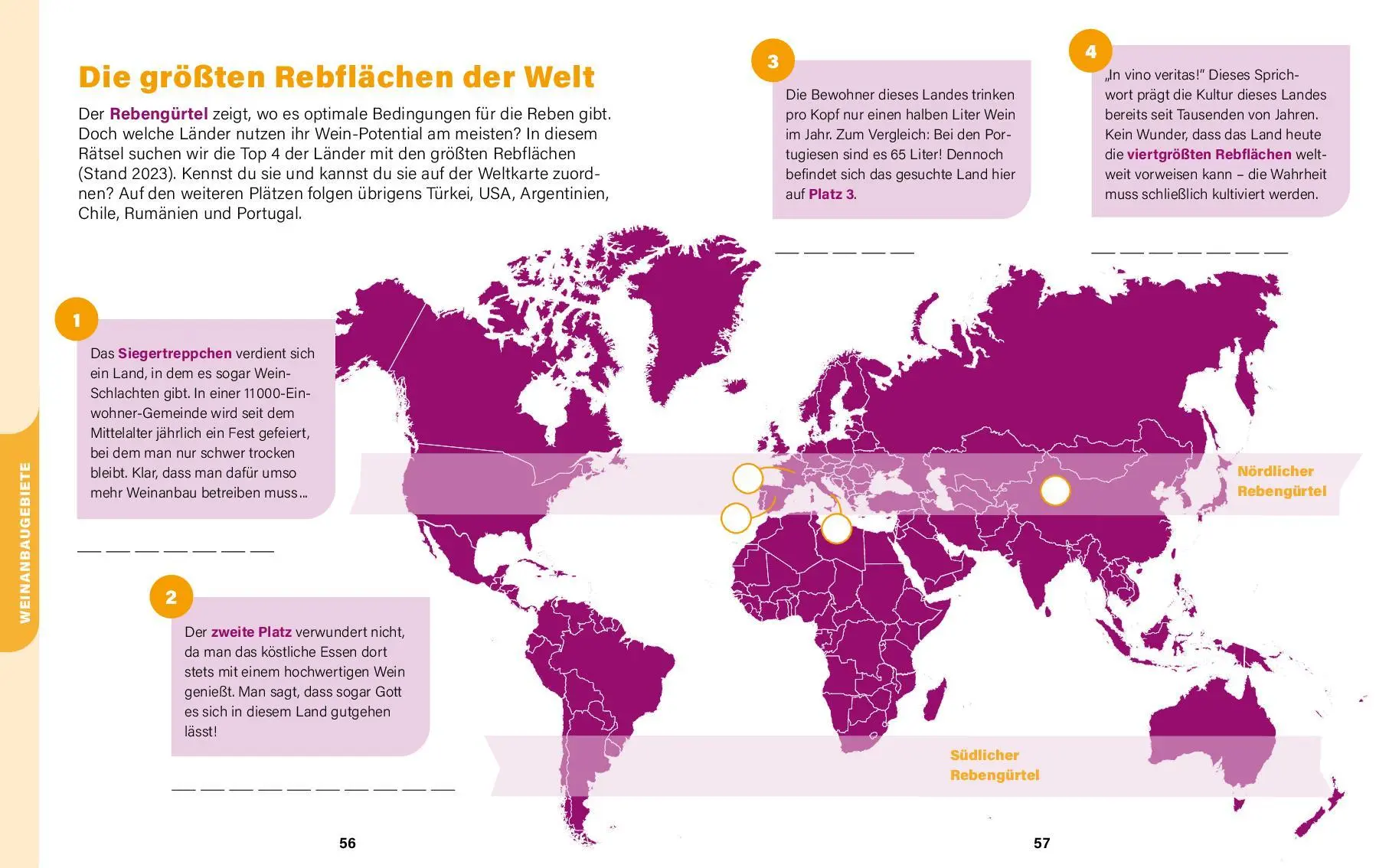 Bild: 9783961284535 | Wein I Wissen in Rätseln | Christina Seibold | Taschenbuch | Deutsch