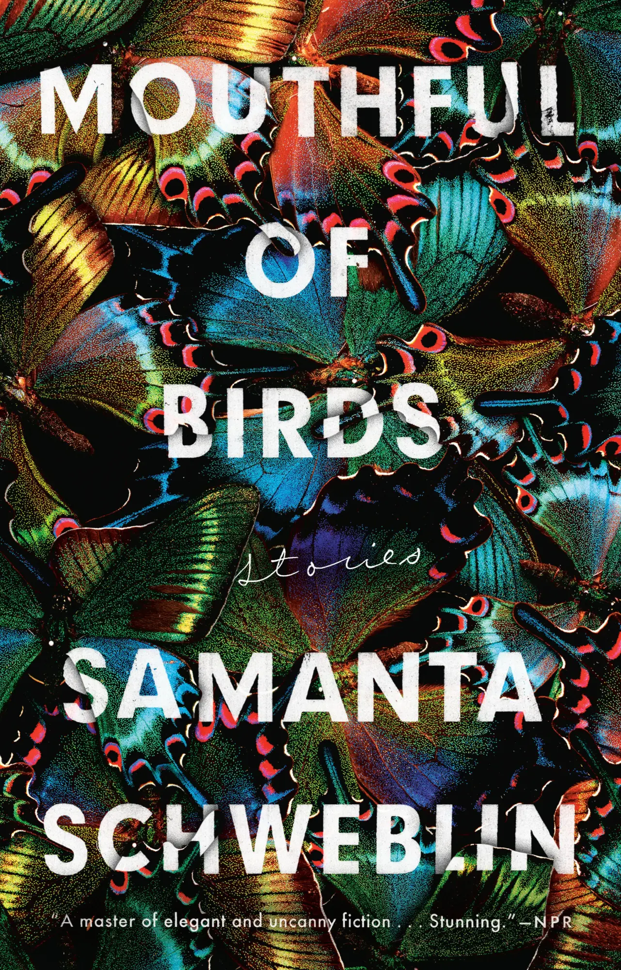 Cover: 9780399184635 | Mouthful of Birds | Stories | Samanta Schweblin | Taschenbuch | 2020